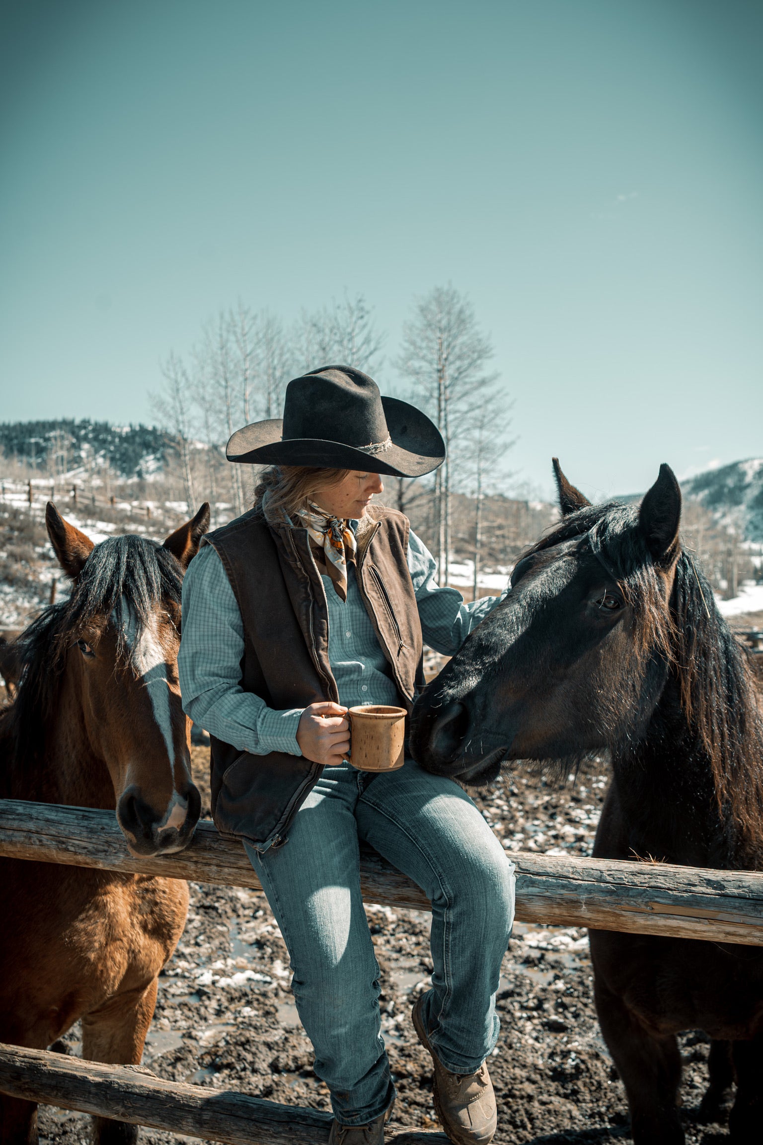 Steak Ride Decaf Blend